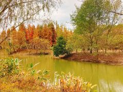 -梁鸿国家湿地公园