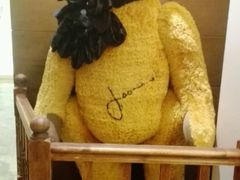 -济州岛泰迪熊博物馆