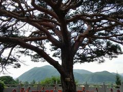 -延吉东来寺