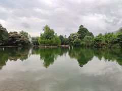 -蝴蝶泉公园
