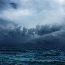 -薇兰专业脱毛连锁机构