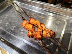 -福苗小骆驼烧烤(太奥广场店)