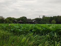 -高子水居