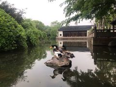 景观位-杭州西子湖四季酒店·金沙厅