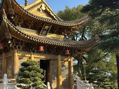-上海东林寺(金山区)