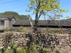 -丹山赤水风景名胜区