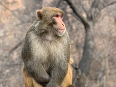 -崂山九水游览区