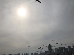 -星海湾跨海大桥