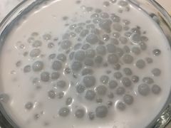 椰汁西米露-关夫人餐厅(阳光广场店)