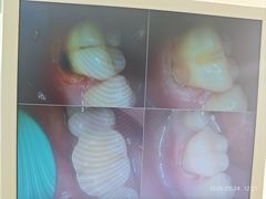 -牙博士口腔品牌连锁(杨浦店)