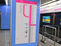 -大龙山(地铁站)