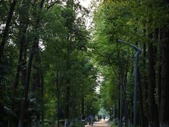 -昆山城市生态森林公园