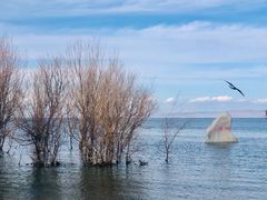 -青海湖国家重点风景名胜区