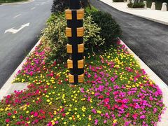 -杭州开元森泊度假乐园