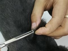 -创凡宠物医院·骨专科  猫科中心(西乡分院)