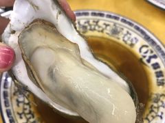 -湛江明记(湛江鸡湛江生蚝)