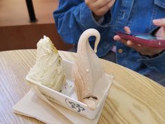-野人先生Gelato(上海长宁龙之梦店)