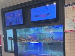 -鱼酷活鱼烤鱼(南京水游城店)