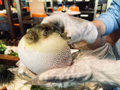 -肆月河豚·淮扬菜·湘菜(华天店)