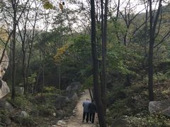 -大岭沟猕猴桃谷风景区
