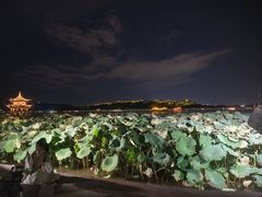 -西湖外事游船(花港观鱼码头)