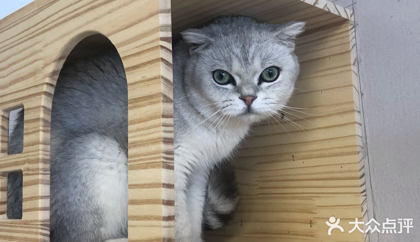 臭脸大哥/臭脸小妹，其实巨粘人