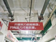 -特克斯八卦城