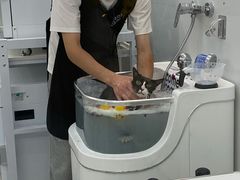 -comecome来吧宠物(奥克斯中心店)