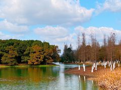 -艾溪湖湿地公园