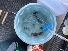 -小猫钓鱼海钓俱乐部(椰梦长廊店)