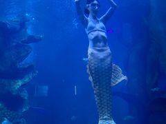 -多彩贵州城极地海洋世界