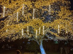 -堤角公园