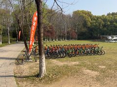 -上海美帆帆船露营基地