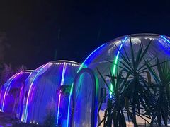 -雅苑中餐厅