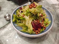 -朱记乳鸽王·非遗石岐乳鸽·全鸽宴(大兴旗舰店)