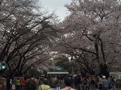 -名古屋城
