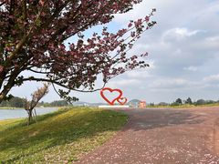 -云漫湖生态度假公园