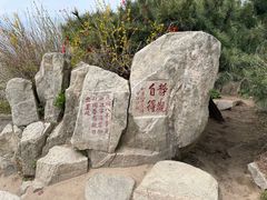 -泰山风景名胜区