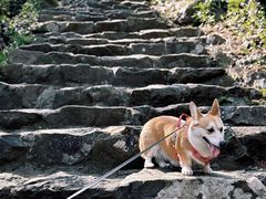 -宁波五龙潭景区