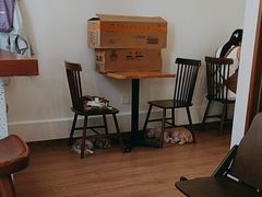 -有猫主题·治愈系猫咖(曾厝垵店)