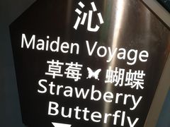 -Strawberry Butterfly草莓蝴蝶日式水果挞