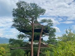 -常寂光寺