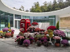 -云溪植物园