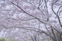 -汉仪华裳汉服馆(打浦桥店)