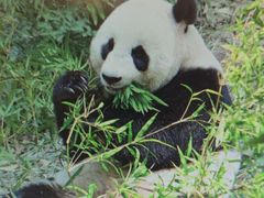 -杭州野生动物世界
