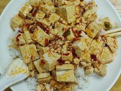 麻婆豆腐盖浇饭-启子大馅饺子