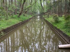 -上海滨江森林公园