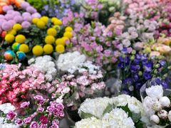 -双季花艺园艺市场(浦东店)