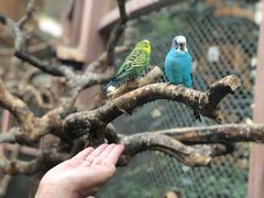 -南宫五洲植物乐园