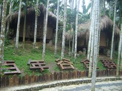 -海南槟榔谷黎苗文化旅游区
